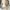 VT Cosmetics Reedle Shot 300 50ml