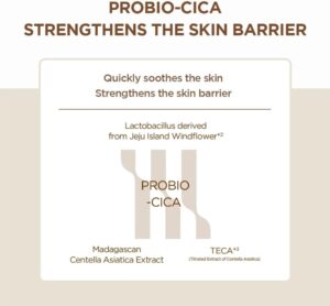 SKIN1004 Madagascar Centella Probio-cica Enrich Cream 50ml - Image 5
