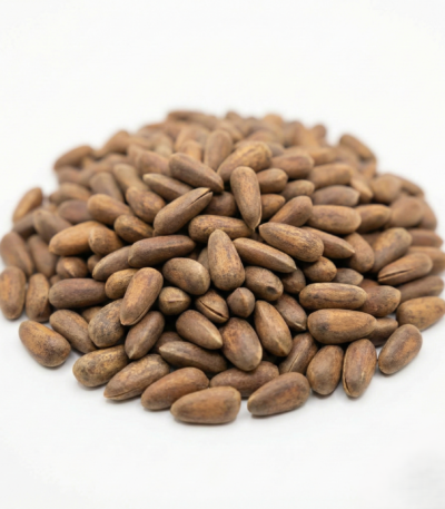 Pine Seed with Shell Pakistan