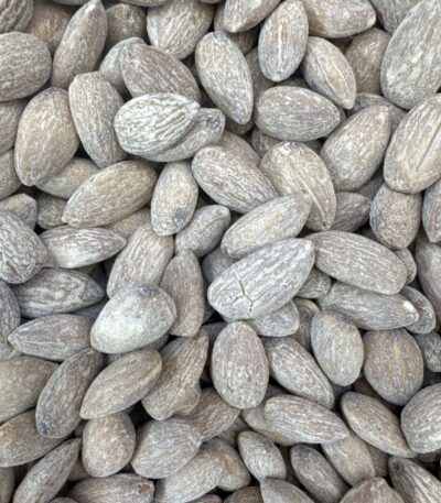 Almond Medium Lemon Salted