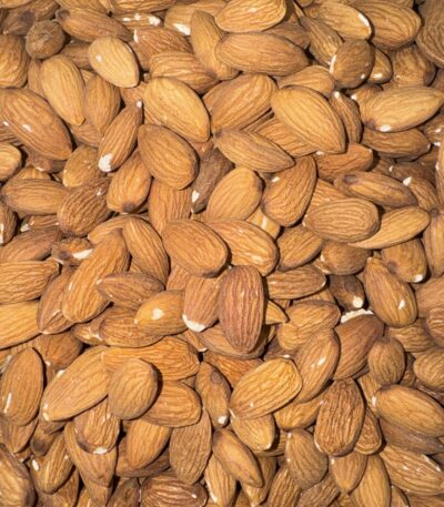 Almond Plain 36/40 Small
